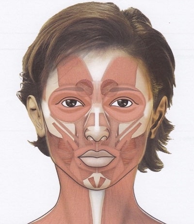 botox annecy toxine botulique muscles visage face medecine rajeunissement 